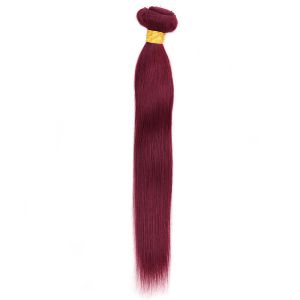100g 8 -28 Inch 99j Human Hair Bundles