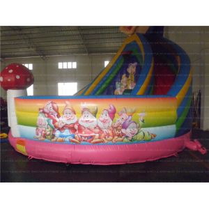 Fun Inflatable Slide (CYSL-21)