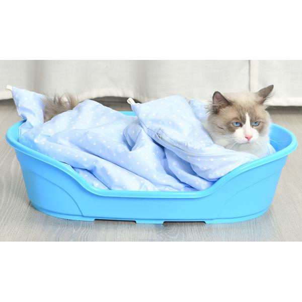 plastic cat bed