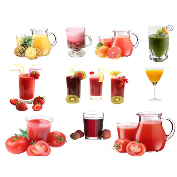 Commercial Fruit Juice Extractor