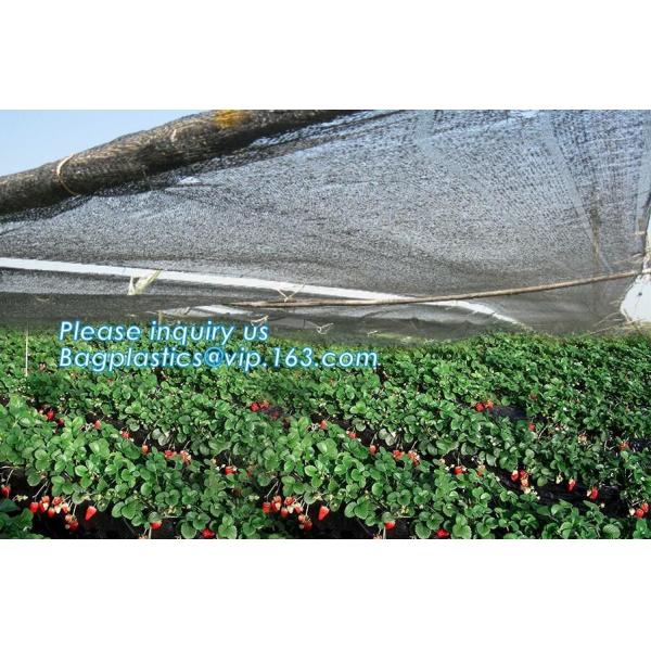 Buy sun shade net,weel contol net,greenhouse film,fibc bag,Cheap Weed Control Fabric/Heavy Duty Weed Mat/Landscape Barriers at wholesale prices