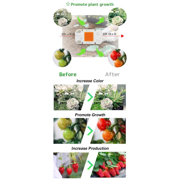 15W Led Module 6500k
