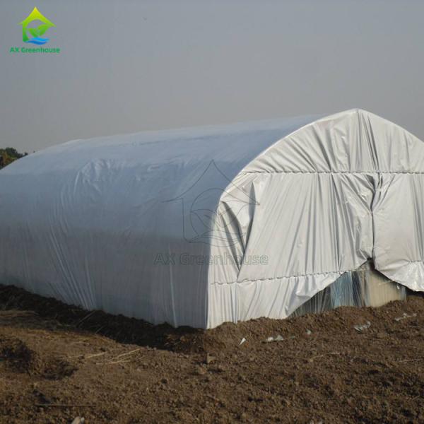 Buy Single-span film blackout Light Deprivation greenhouse for growing mushrooms at wholesale prices