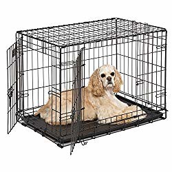 Electrophoresis Surface 30'' Metal Wire Dog Crate