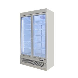 Frozen Food Glass Door Display Freezer For Commercial Adjustable Shelf