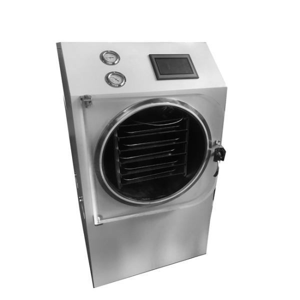 Buy Pet Food Automatic Freeze Dryer Excellent Temperature Control Technology at wholesale prices