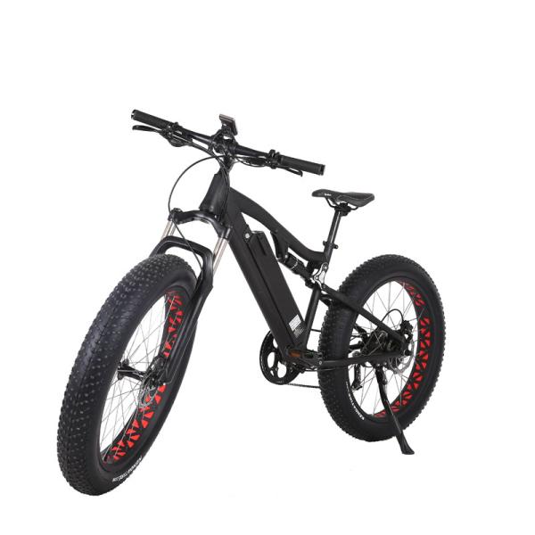 Customized Electric Bicycle 48v 500w Full Suspension E Bike with 13 AH Down Tube Battery