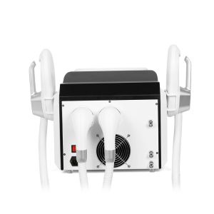 CE 220V LaserTell Ems Electric Muscle Stimulation Unit