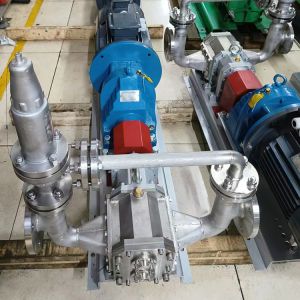 316SS Titanium Dioxide Wastewater Lobe Pumps With Safety Valve