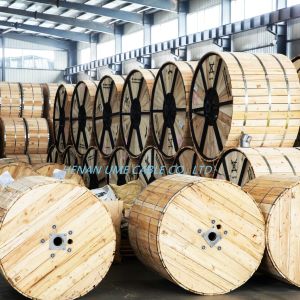 Building Householding Concentric/Coaxial Cable with Third Party Inspection