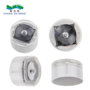 IP67 Waterproof Aluminum Solar Dock Light with Bule/Cold White Lighting and -20C