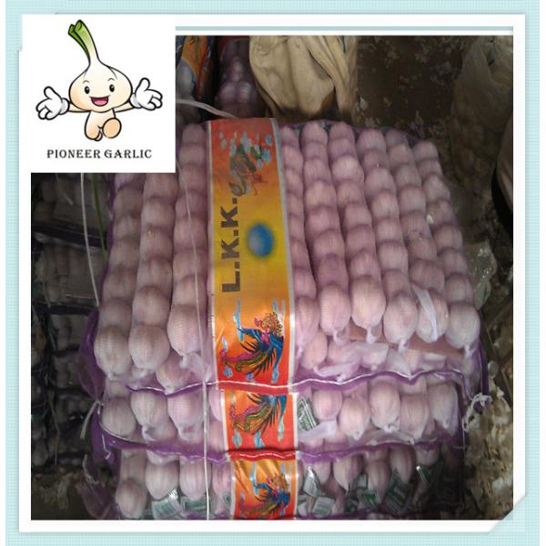 Shandong 10Kg/ Ctn Natural Fresh Normal White Garlic For Chile