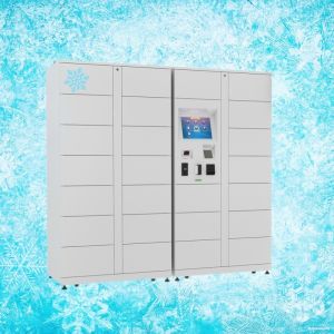 Winnsen Refrigerated Smart Food Locker Fruit Customized