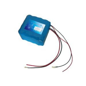 Over 2000times 1C 24V LiFePO4 Batteries For Solar