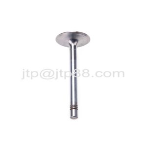 Car Spare Parts Swirl Polished Diesel Engine Valve E13 E15 Intake Valve And