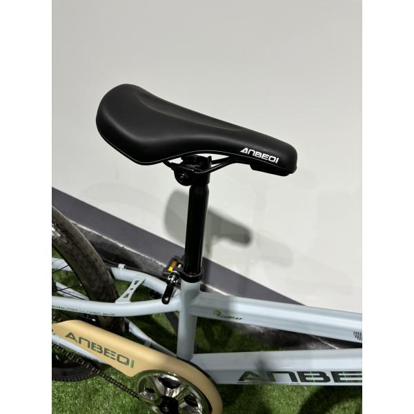 Professional 20-26 Inch MTB Mountain Bikes Shimano Tourney Rear Derailleur and Disc Brakes