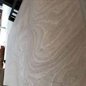 1220*2440mm Sapele Faced Plywood