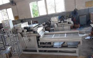 Quality Almond Peanut Chopping Machine , Automatic Nut Cracker Machine Low Noise for sale