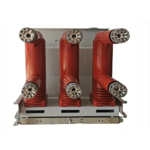 Quality Haibang Vacuum Contactor Fuse Combination Supplier 7.2kv / 12kv for sale