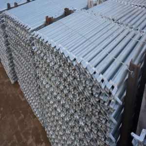 Quality Construction Ringlock Bridge Ledger Heavy Duty 2.5m Hot-dipped Galvanized with 3.25mm Tube Thickness for sale