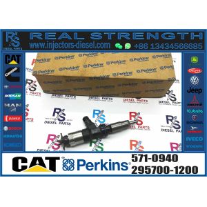 Common Rail Injector Fuel Injecto 571-0940 295700-1200 418-3229 295050-1810 For