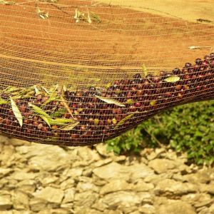 Latest Material Best Quality Olive Net Manufacturer