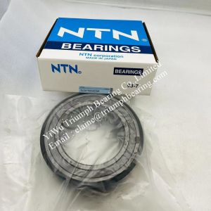 NTN Double Row Cylindrical Roller Bearing SL04 5024ZZNR , SL04-5024ZZNR