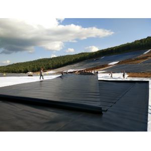 Smooth Geomembrane for Shrimp Pond Liner Waterproof HDPE Plastic Liners Modern