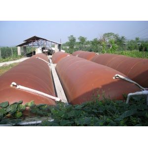 Low Pressure Biogas Digester Tank Featuring Anaerobic Digestion Function Ideal
