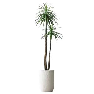 Handmade 150cm Artificial Dracaena Frost Resistance Anti - Aging