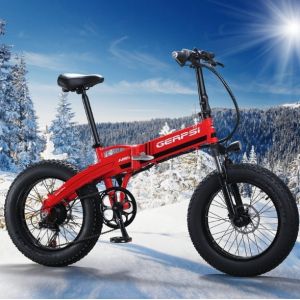 China Lithium Battery 4.0 Fat Tire 500w Folding Electric Bike on sale