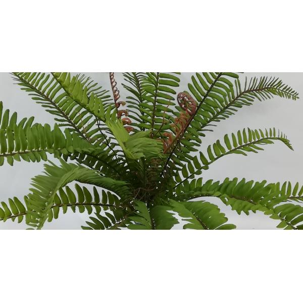 Lifelike 54CM 20 Leaves Artificial Fern Plants For Hotel Decor