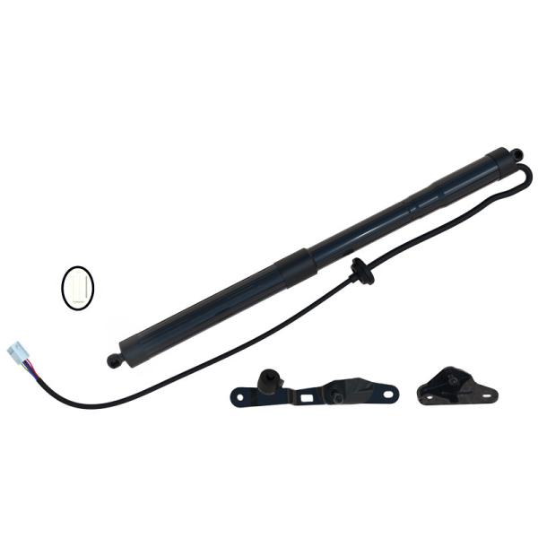 Trunk Hatch Power Lift Support Strut Shock Replacement For Toyota RAV4