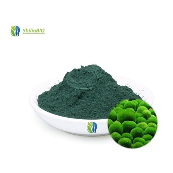 Buy Chlorella Algae Powder 50%~60% Protein at wholesale prices