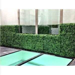 Quality Artificial Boxwood Hedge Wall for sale