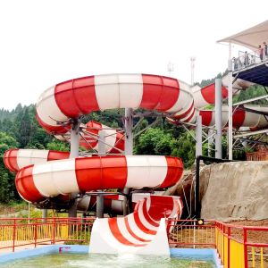 Quality 2.7m Wide Family Raft Water Slide For 4 Riders With Customized Height And Color for sale
