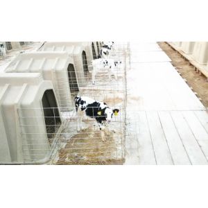 China 50kg PE Plastic Calf Shelters on sale