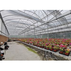 Easy Installation Multi Span Greenhouse With Large Diameter Frame Anti Wind