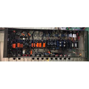 Custom Grand Tube Amplifier Head Steel String Singer SSS 100 in Purple Color