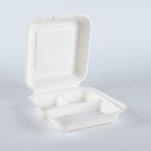 Disposable Food Packaging Pulp Sushi Biodegradable Tableware of Sugarcane