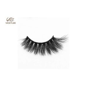 Human Hair Fan Shaped 34MM Natural Multipack Eyelashes