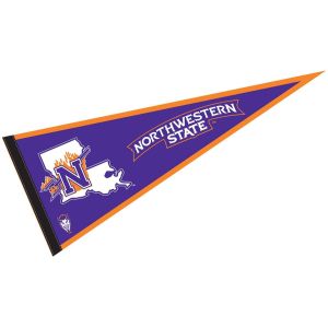 Swil 100 Felt Pennant Banner , Triangle Wool Sports Banners
