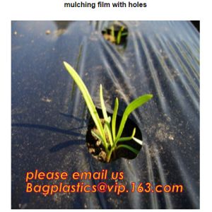 plastic tomatoes home garden polytunnel greenhouse film,Film Covering Tomato