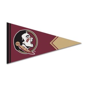 Advertising 150D Polyester Felt Pennant Banner Sublimation Printing