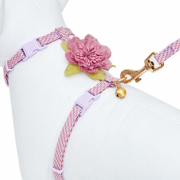 Buy Breakaway Safety Cat Harness Collar , Personalized Cat Collars Polyester Webbing at wholesale prices