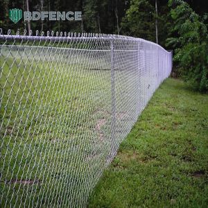 Zoo-Grade Chain Link Fence Animal Containment
