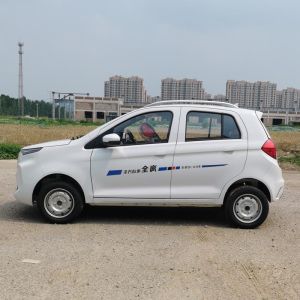 Raysince factory hot sales model 5 door electric car adult vehicle 4 Seats