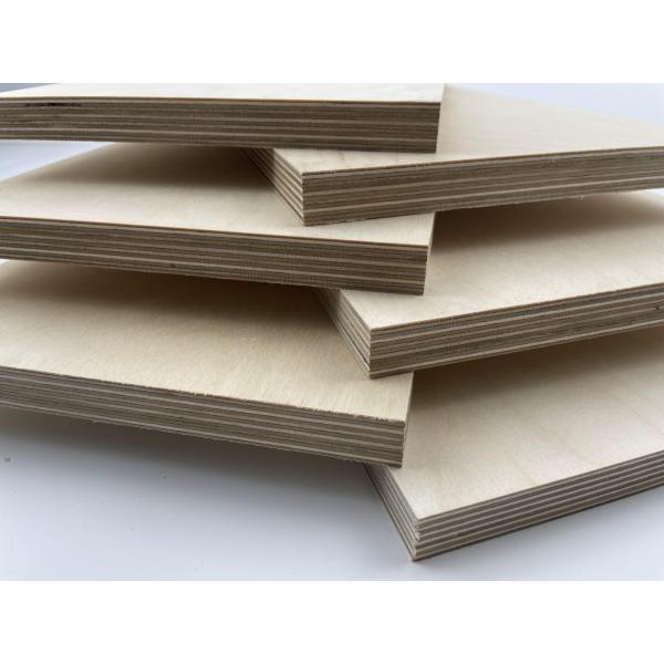 Top Sale Russian Baltic Birch Plywood E0 6mm 9mm 12mm 15mm 18mm 24mm Full Birch 1220*2440mm Plywood Sheet