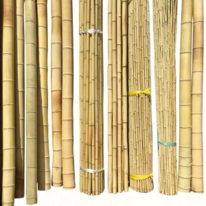 Quality Bamboo Town Nature Yellow Black Dry Treated Bamboo Moss Pole for sale
