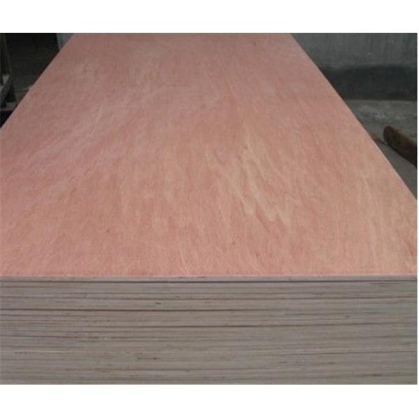Buy Rotary Cut Bintangor Veneers E1 2440mm BC Wood Plywood at wholesale prices